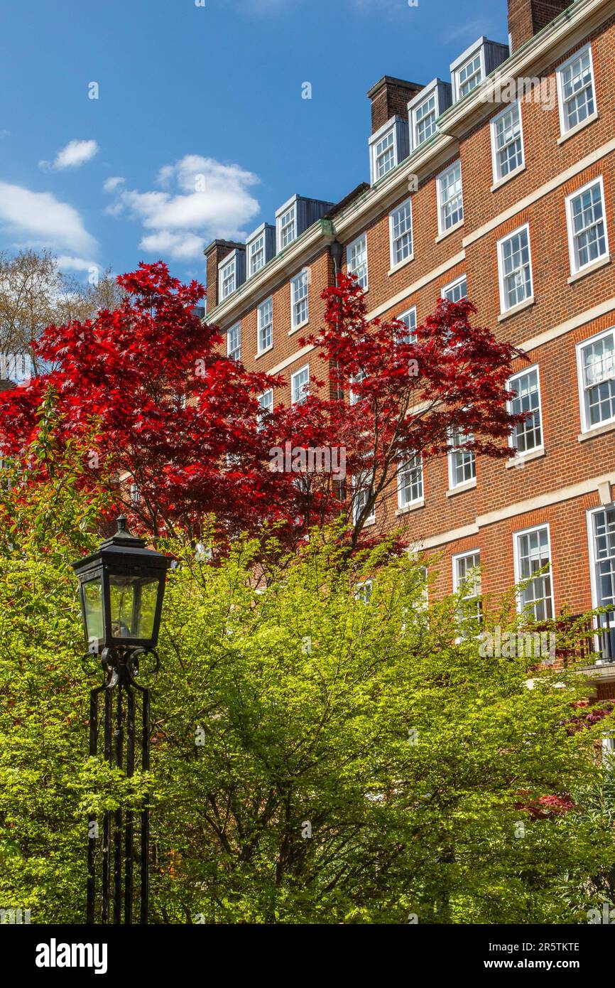 A beautiful Springtime view in one of the squares in Inner Temple in the City of London, UK. Stock Photo
