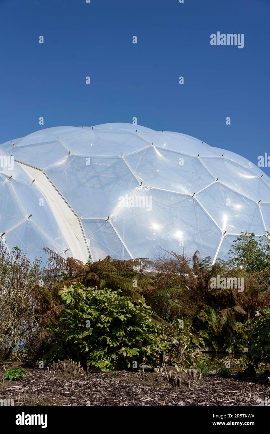 Giant domes of the Eden Project, near St Austell, Cornwall, England, UK Stock Photo