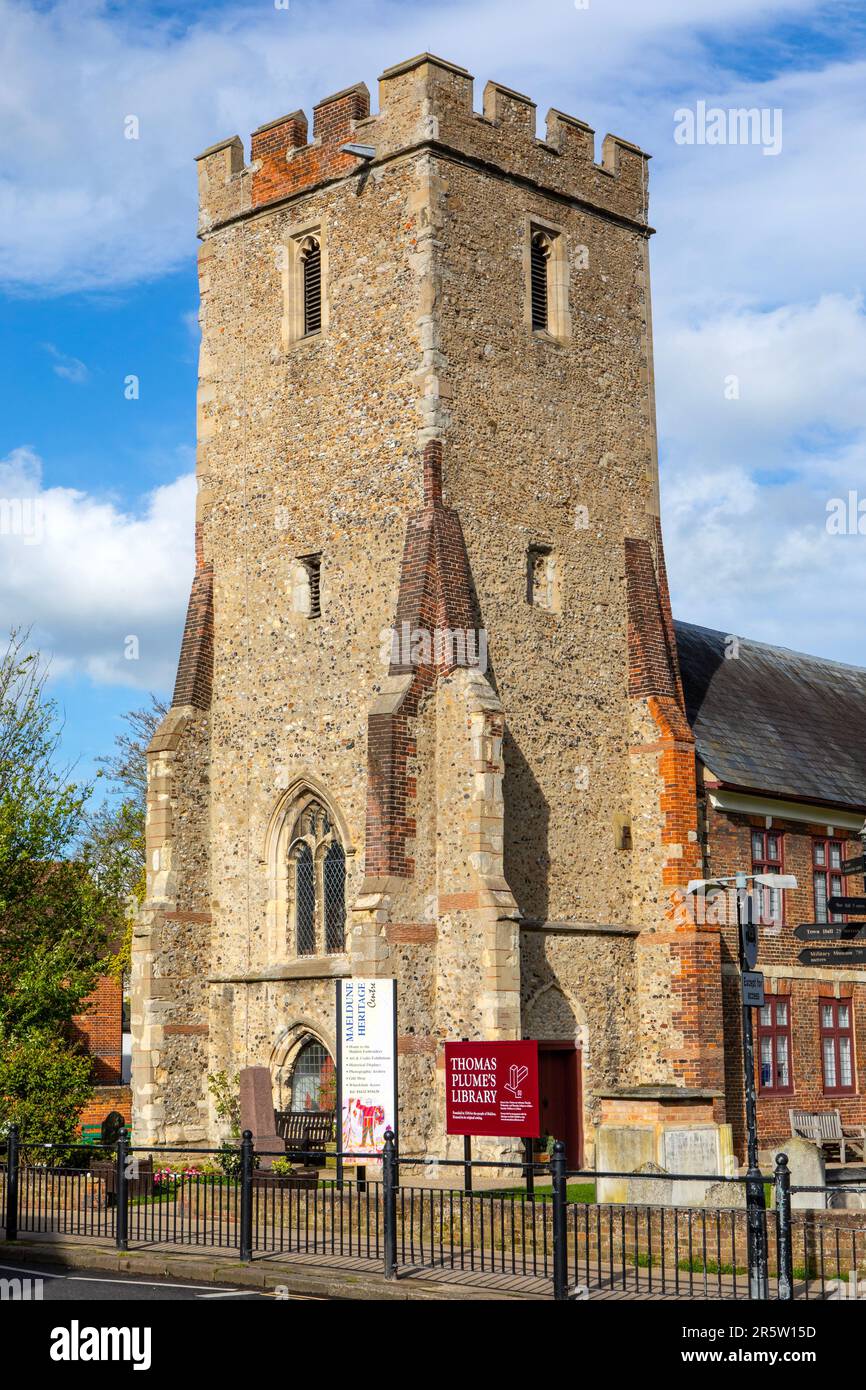 Essex, UK - April 10th 2023: The tower of St. Peters Church in the town of Maldon in Essex, UK.  The tower is now part of Thomas Plumes Library and th Stock Photo