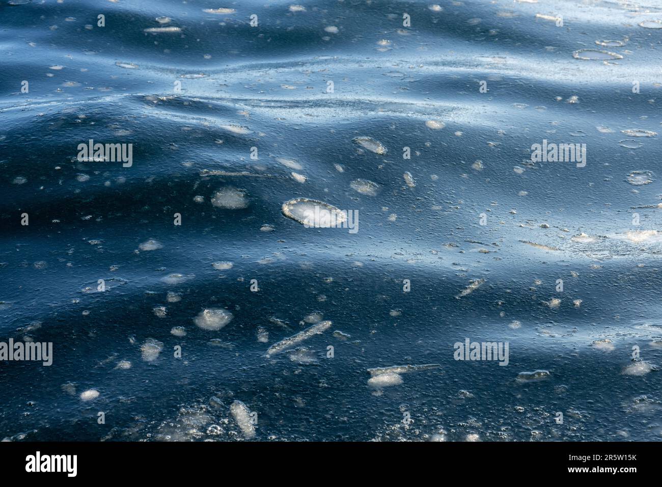 Pancake Ice Forming in the Bay of Whales, Ross Sea, Southern Ocean, Antarctica Stock Photo