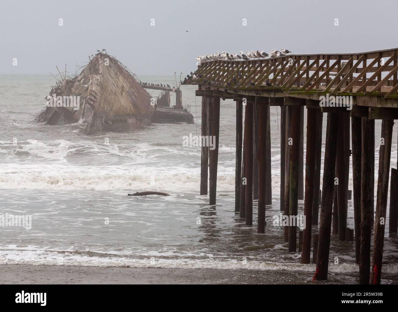 A coastal scene of Santa Cruz flooding in Jan 2023 showing the Cement