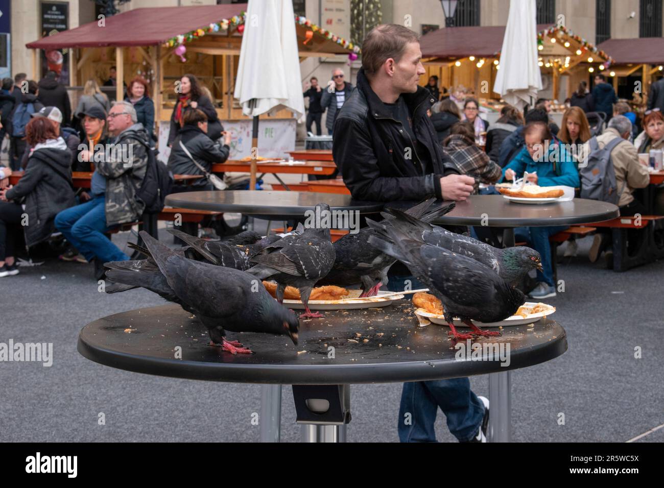 Budapest, Hungary - April 16, 2023, amidst the festival bustle pigeons devour left-overs on a table as crowds gather at a food festival. Stock Photo