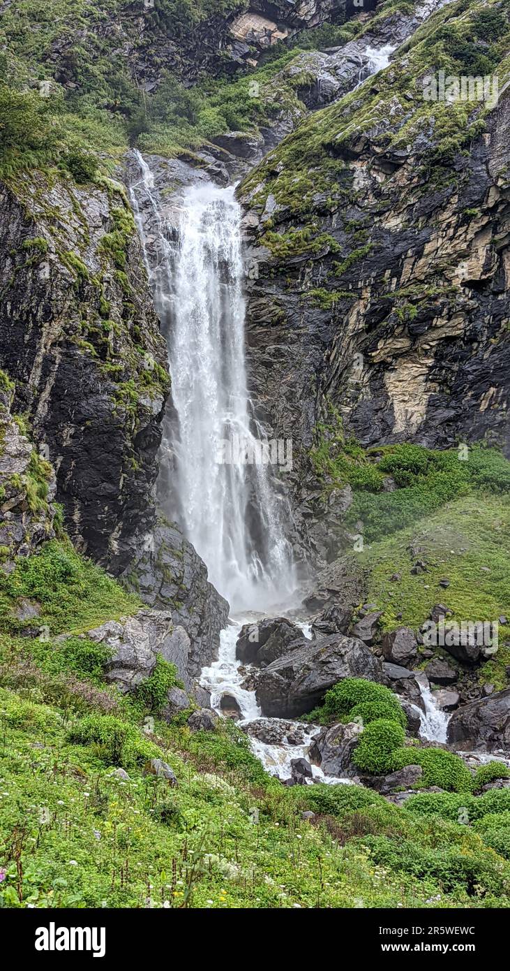 A vertical of a waterfall flowing down the rocks covered with greenery ...