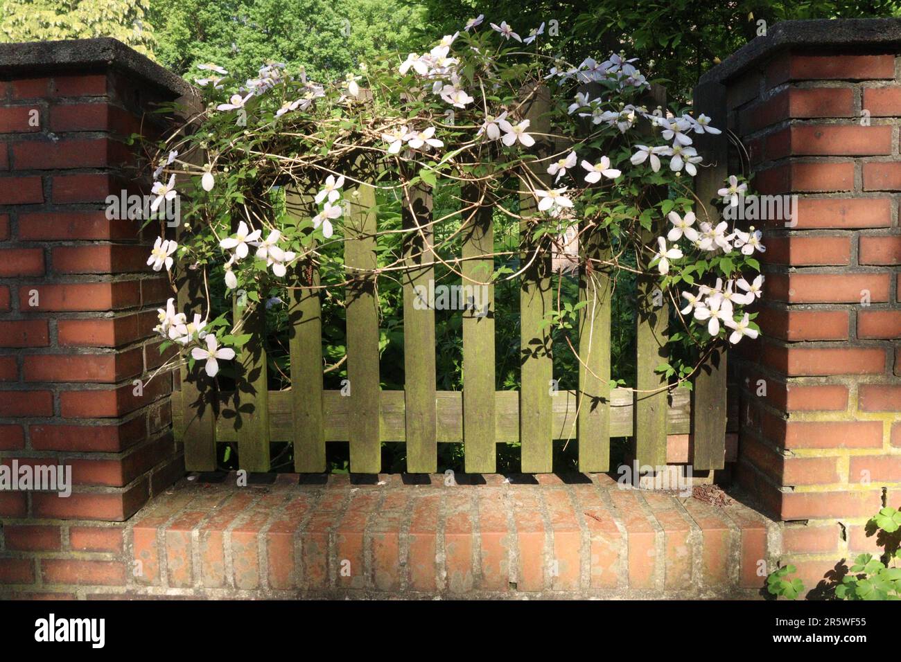 Growing over fence hi-res stock photography and images - Alamy