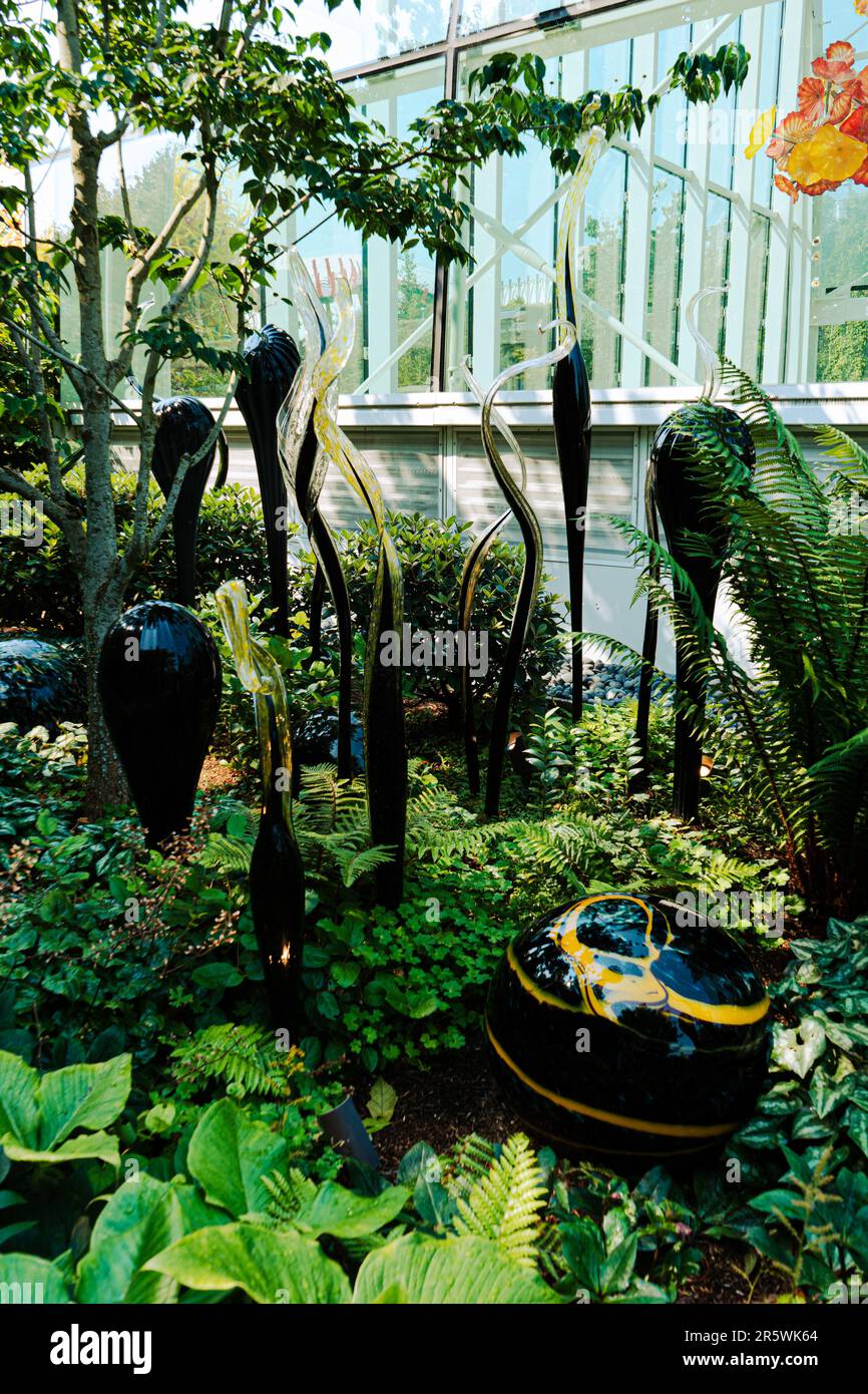 A vibrant, sundrenched garden is showcased in this image, with a
