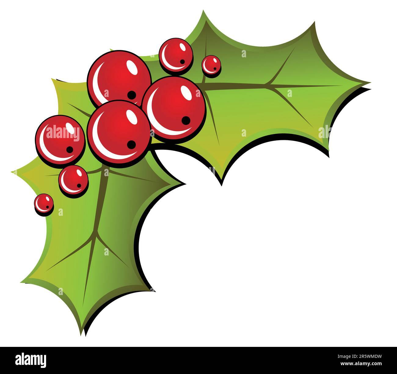 Christmas holly isolated on white background. Illustration Stock Vector ...