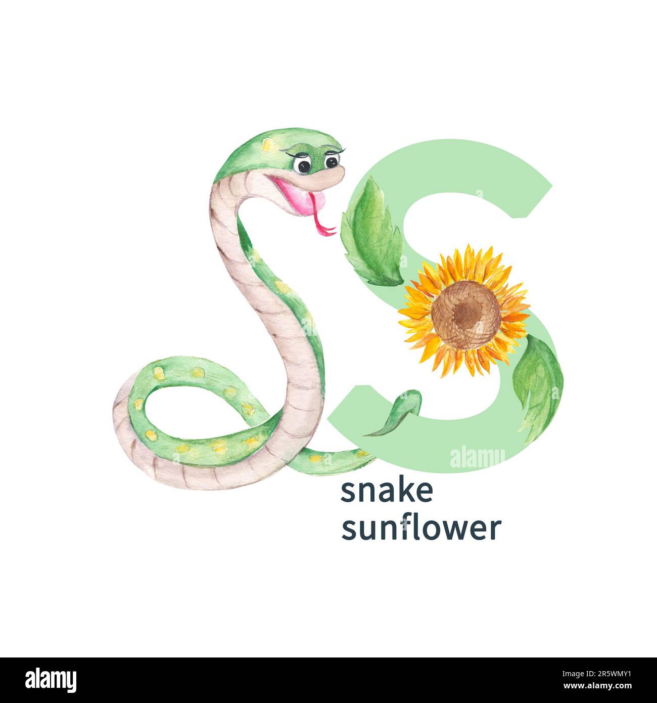 Letter S, snake, sunflower. Cute kids animal and flower ABC alphabet. Watercolor illustration isolated on white background. Can be used for alphabet Stock Photo