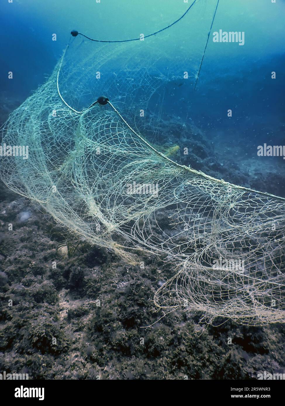 Fishing net under water gillnet in the ocean with rock and blue water Stock  Photo - Alamy