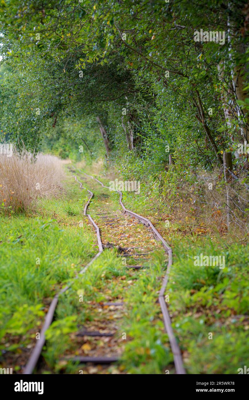 A forgotten railroad track lies abandoned in the countryside, its rails rusting away in the sun Stock Photo