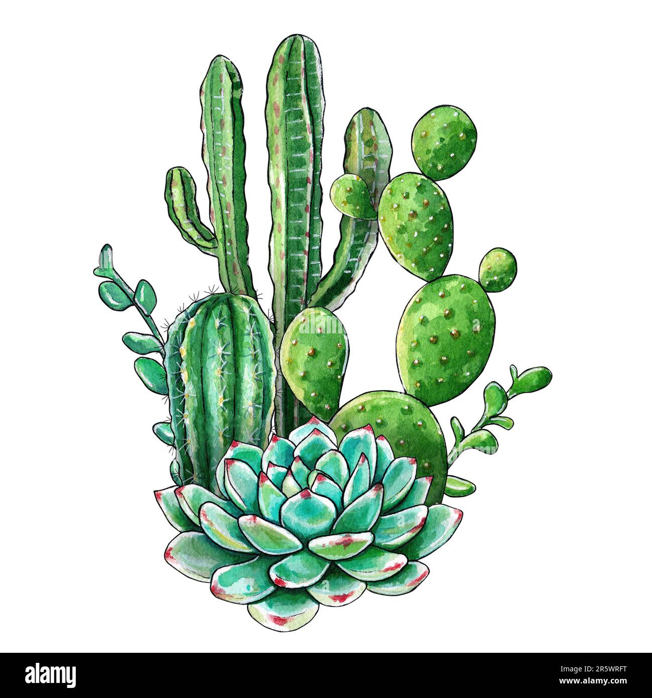 Bright composition of cacti and succulents. Watercolor hand drawn