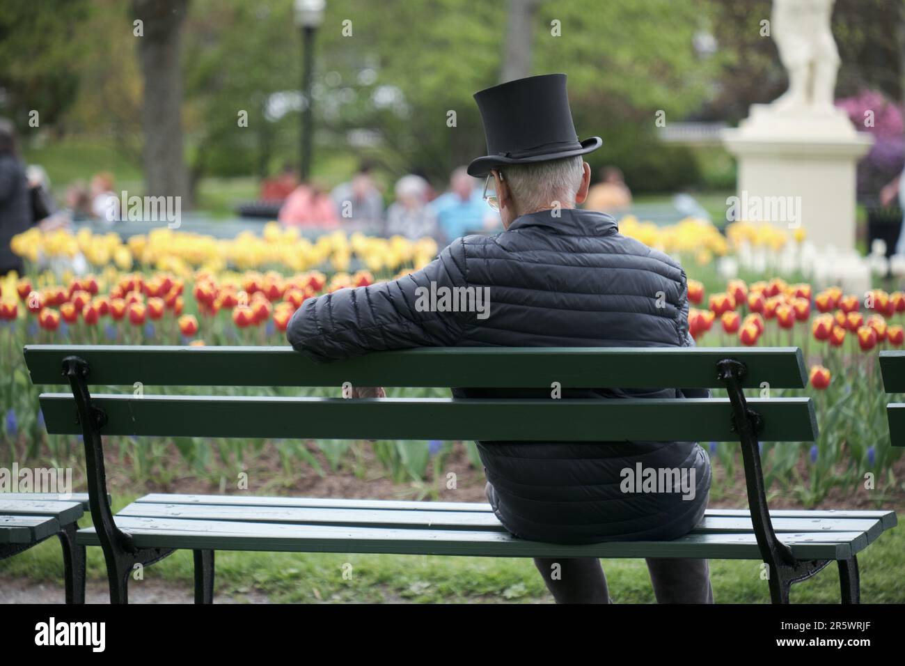 man wearing a top hat sitting on park bench seen from behind Stock Photo