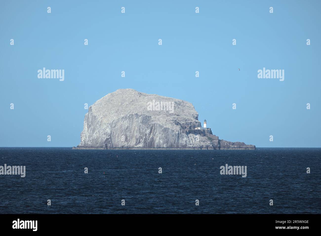 The Bass Rock island and lighthouse in the Firth of Forth in the east of Scotland. Bass Rock, Scotland, United Kingdom Stock Photo