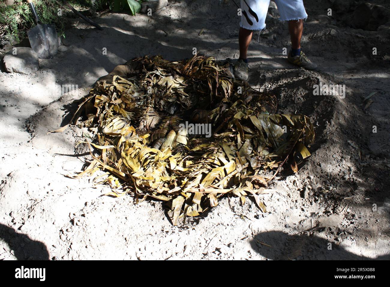 The Peruvian earth oven food tradition. Cooking food underground pays