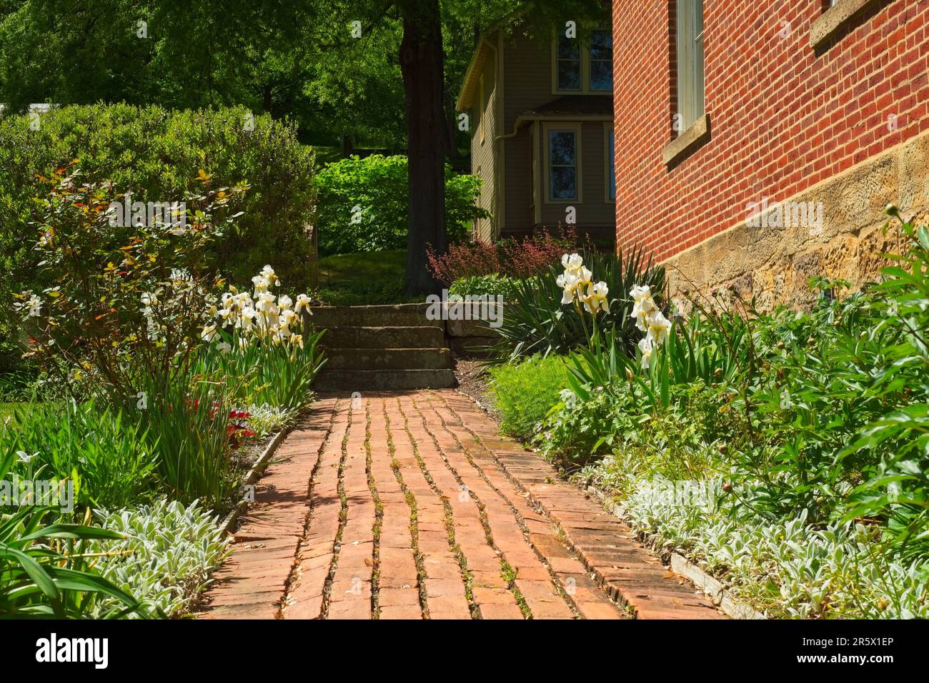 An old brick walkway runs through a bright and colorful garden beside