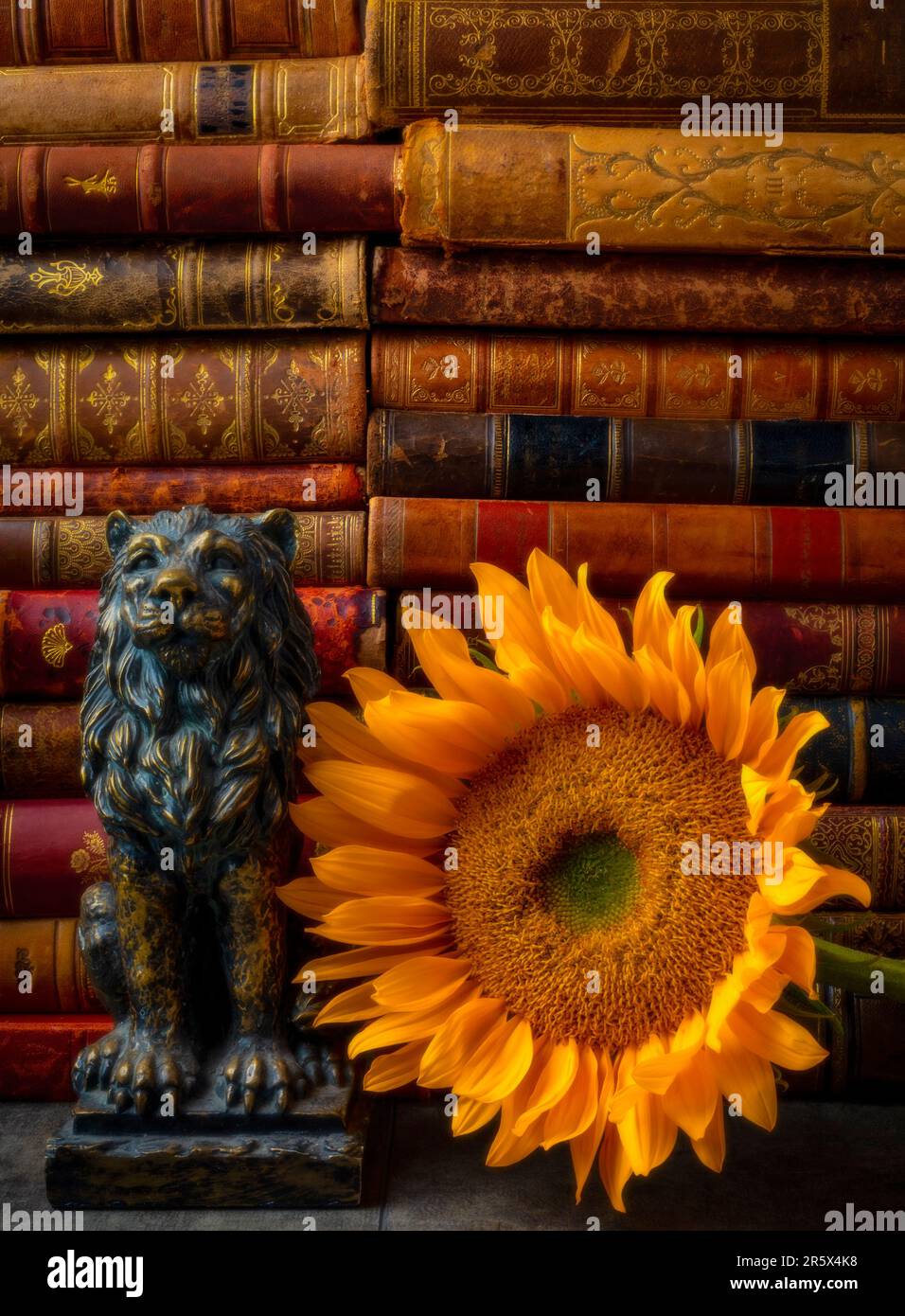 Lion Statue And Sunflower Still Life Stock Photo Alamy