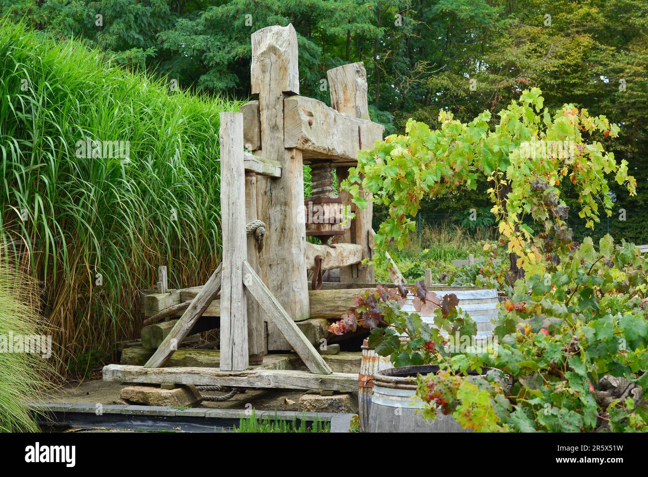 Old vintage wine press Grape Stock Photo Alamy