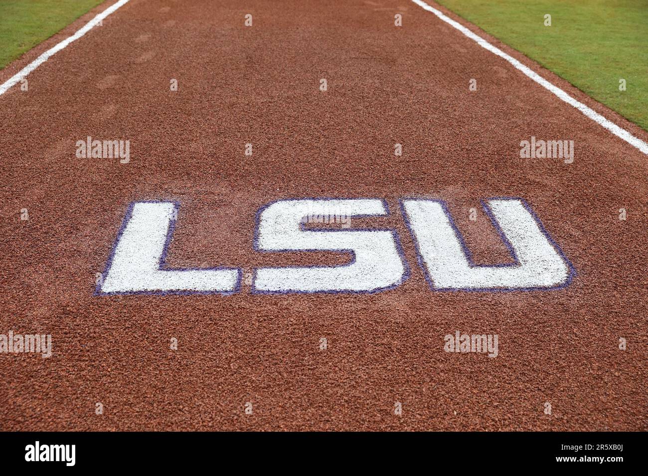HOOVER, AL MAY 24 A general view of the LSU Tigers logo during the
