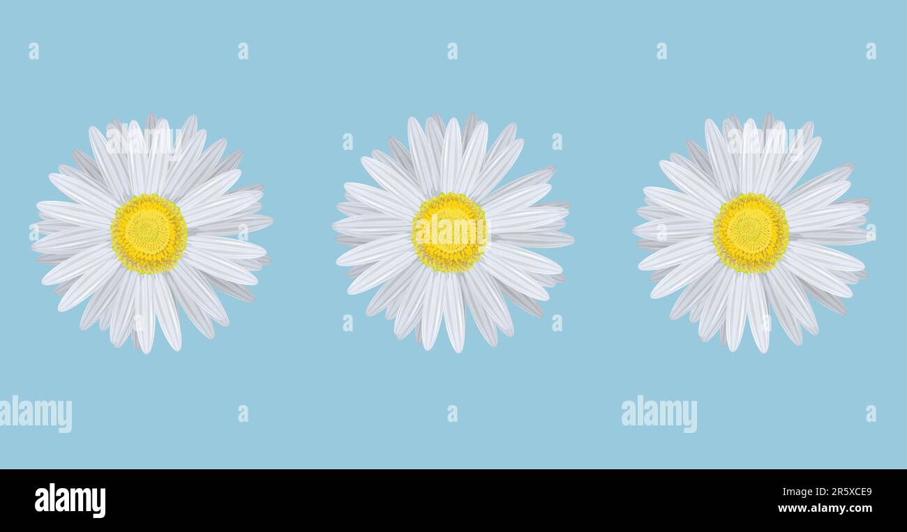 Vector illustration of chamomiles on blue background Stock Vector