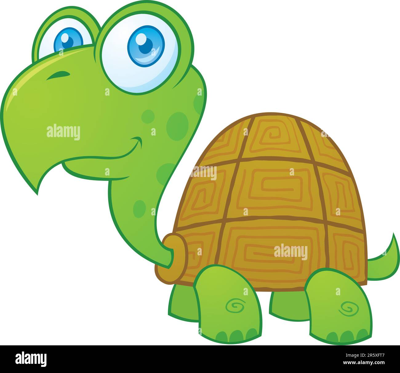 Vector drawing of a happy little turtle Stock Vector Image & Art - Alamy