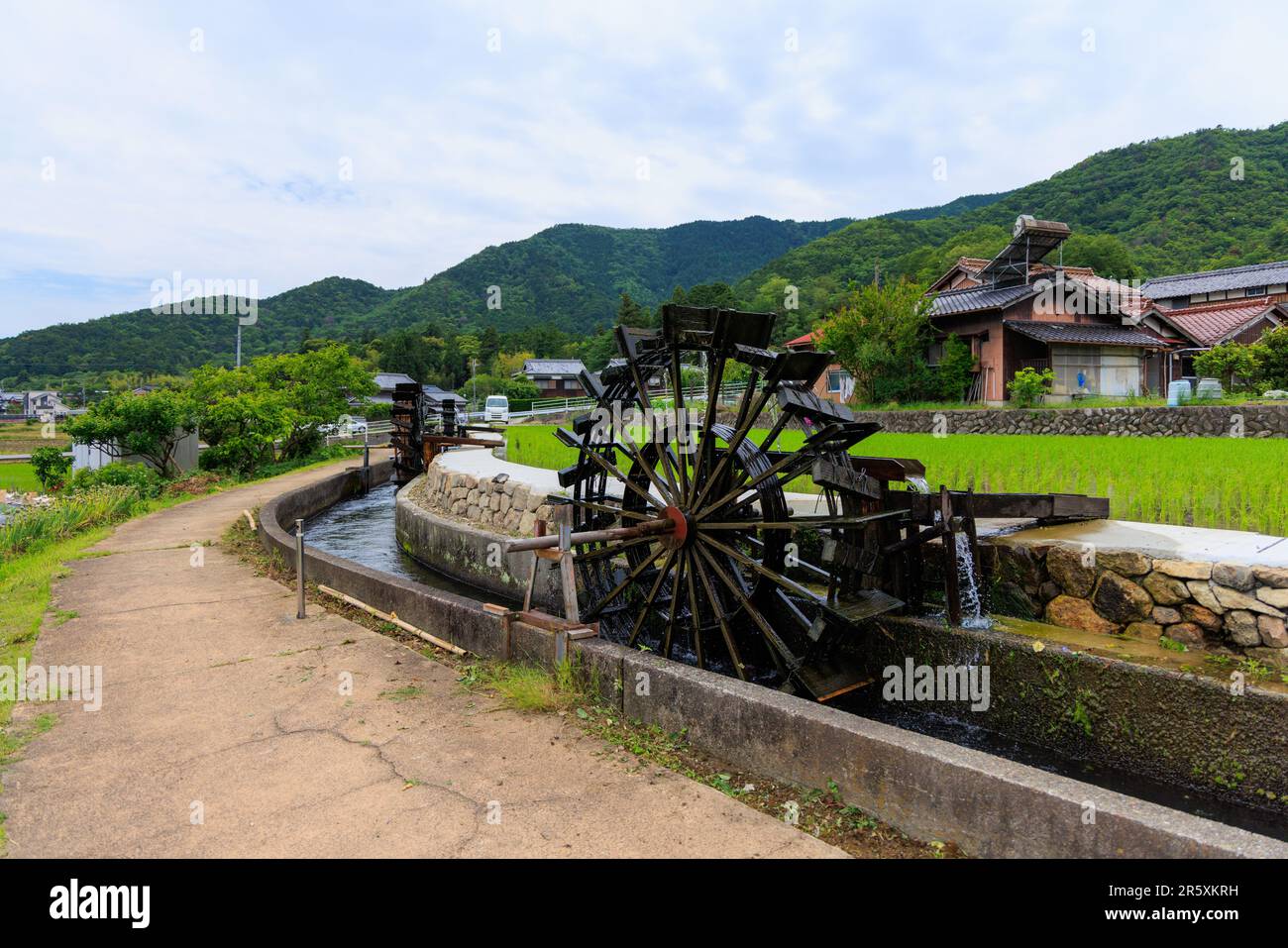 Historic water wheel in canal by green rice field and rural home Stock