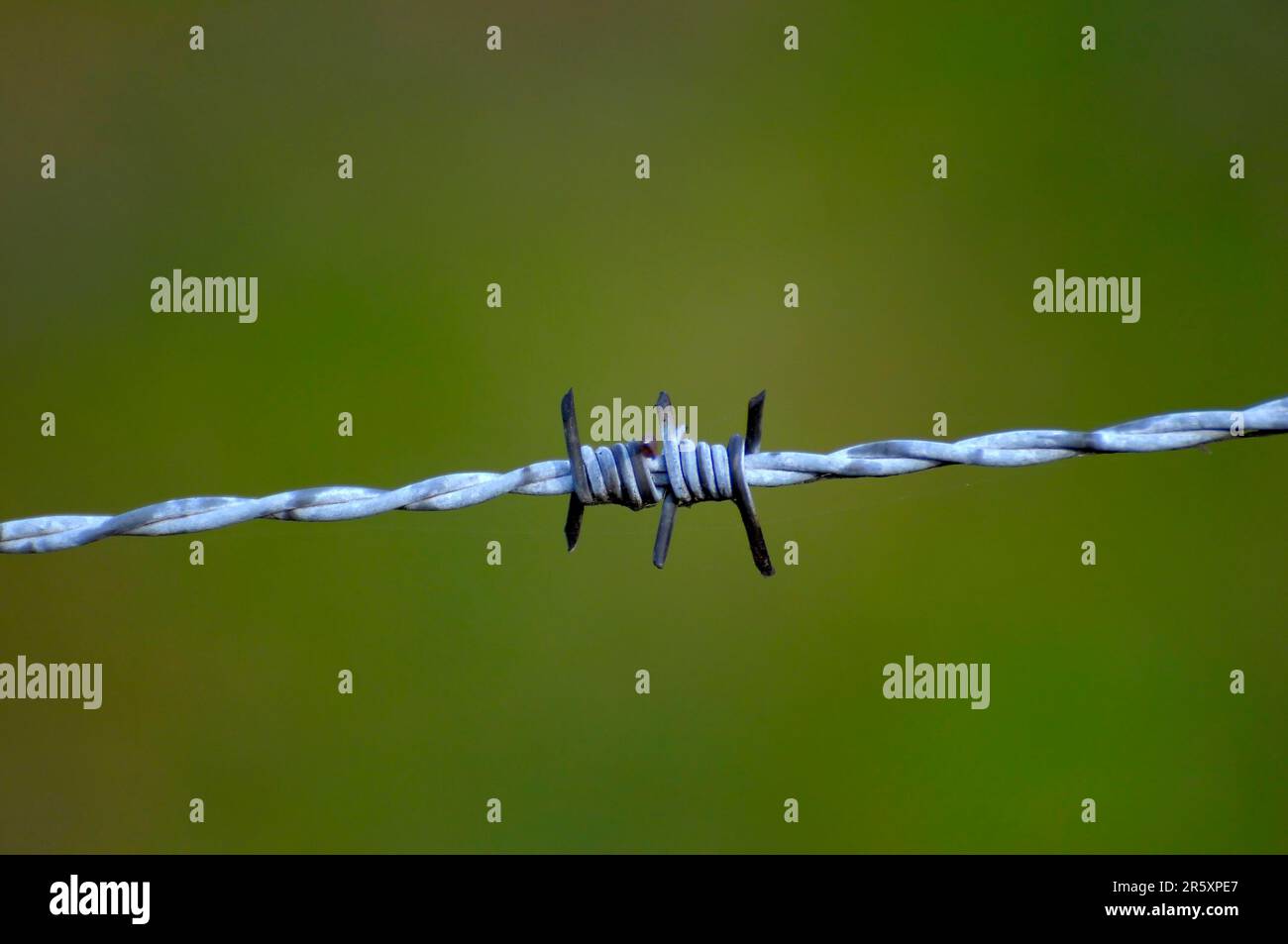 Barbed wire, wire tips or metal hooks Stock Photo - Alamy