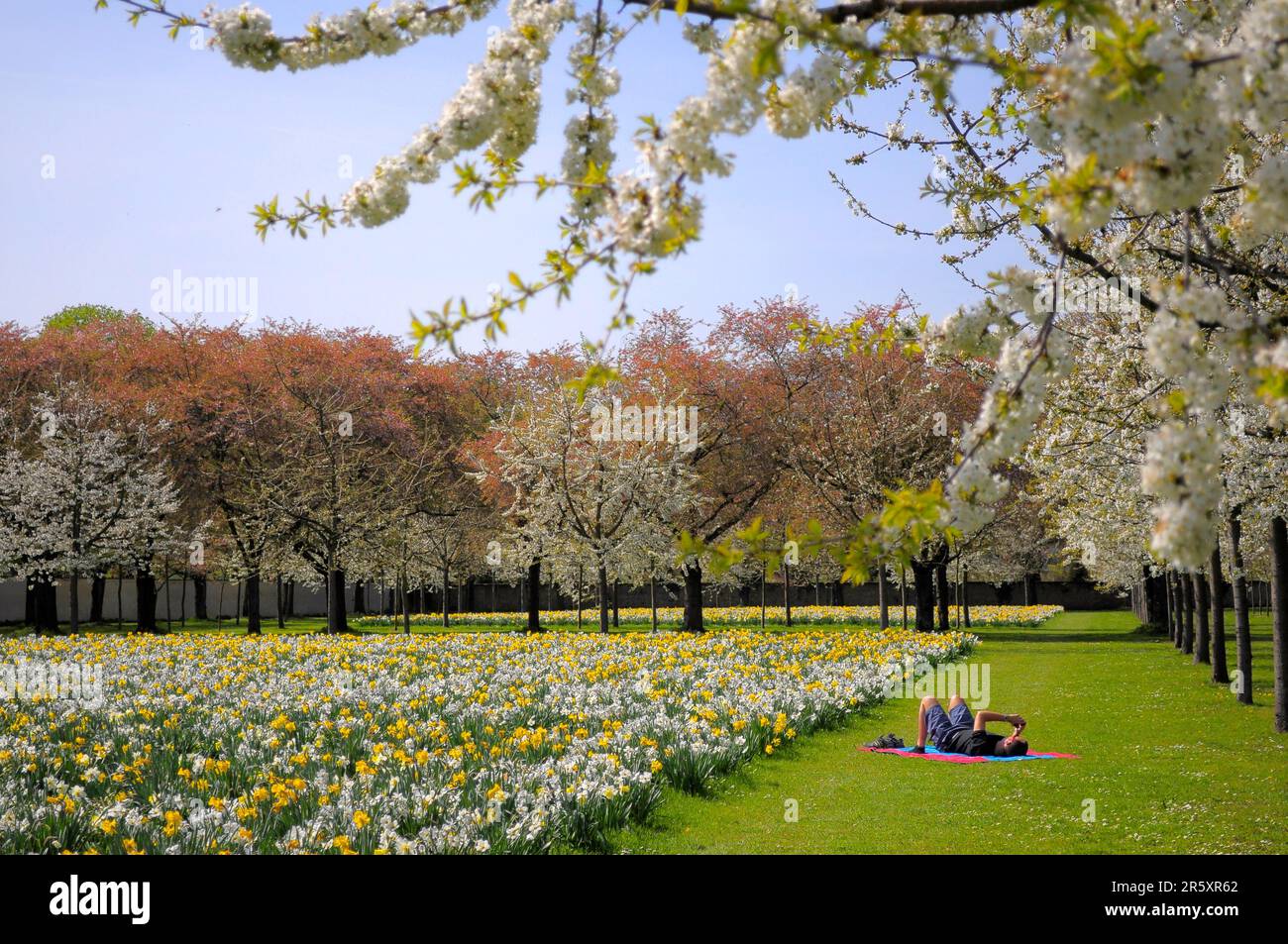 Schwetzingen, Spring in the Palace Gardens Stock Photo