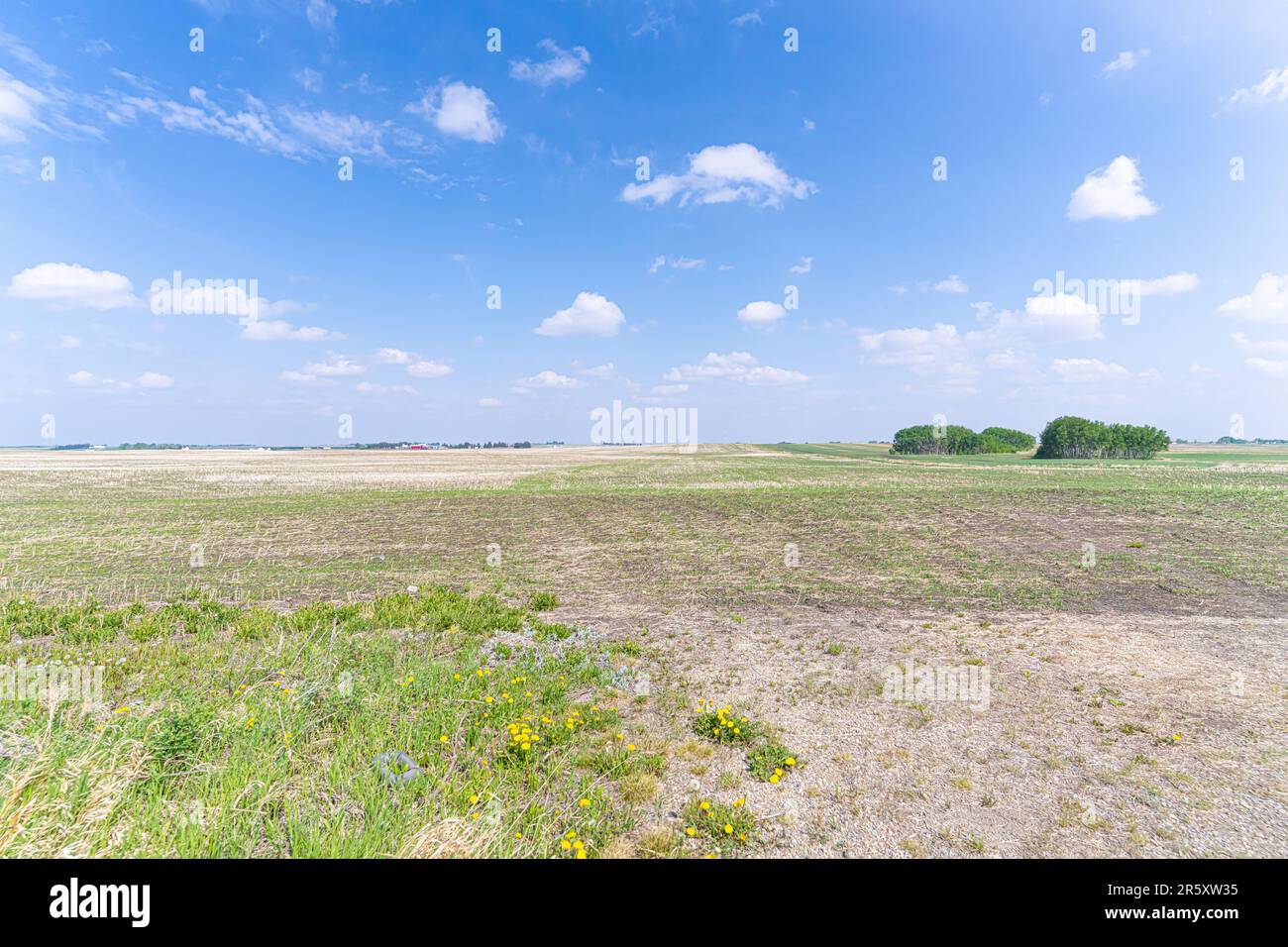 open farmland in rural alberta ready for planting Stock Photo - Alamy