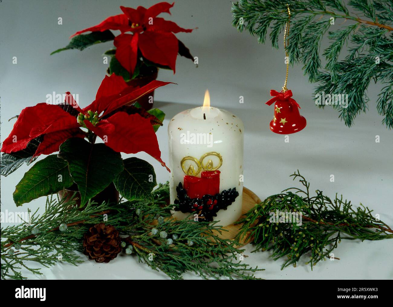 Burning candle with poinsettia, Christmas time, Advent, Burning candle with poinsettia, yule tide Stock Photo