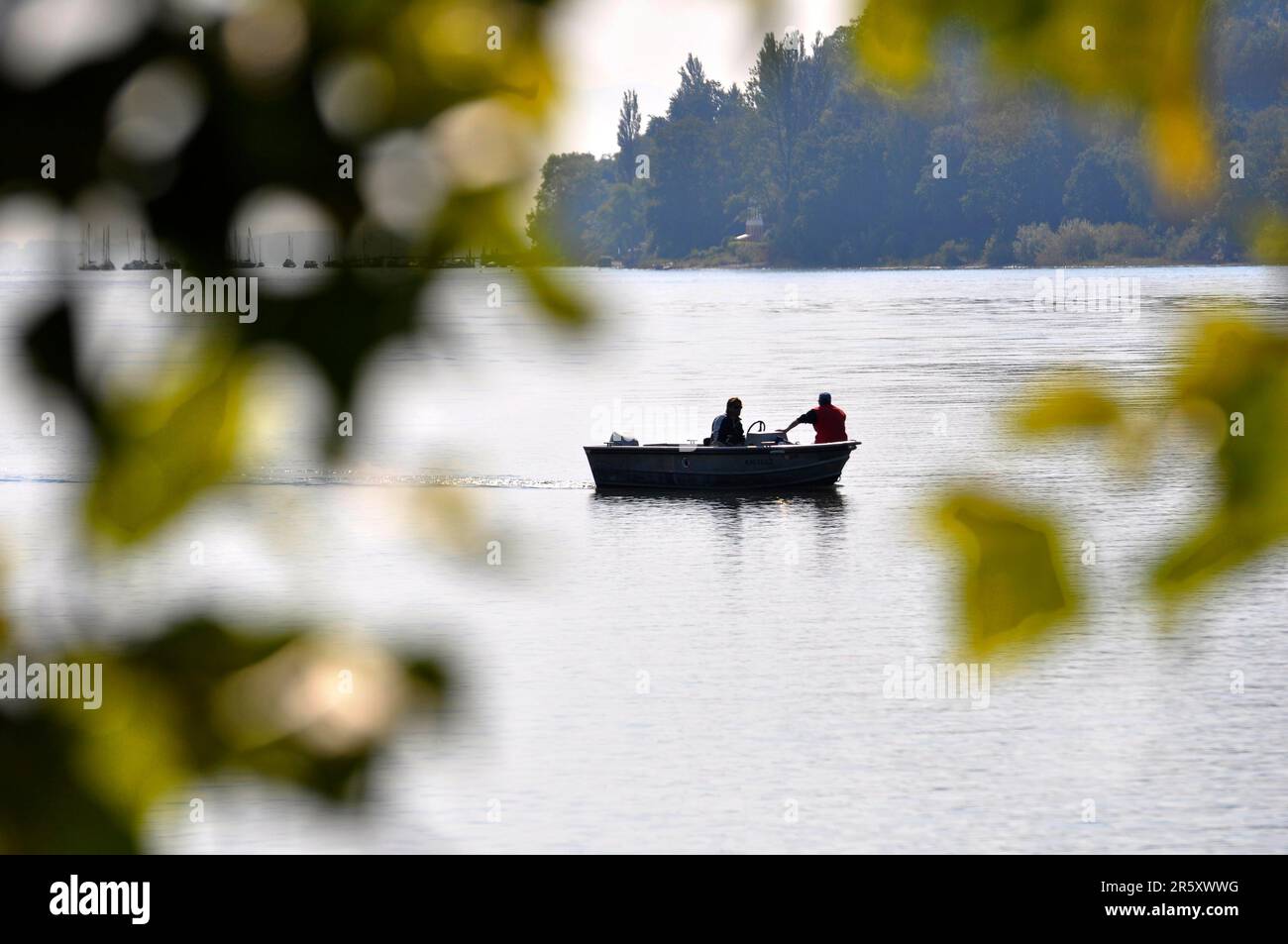 On Lake Constance, fishing boat on Lake Constance Stock Photo Alamy