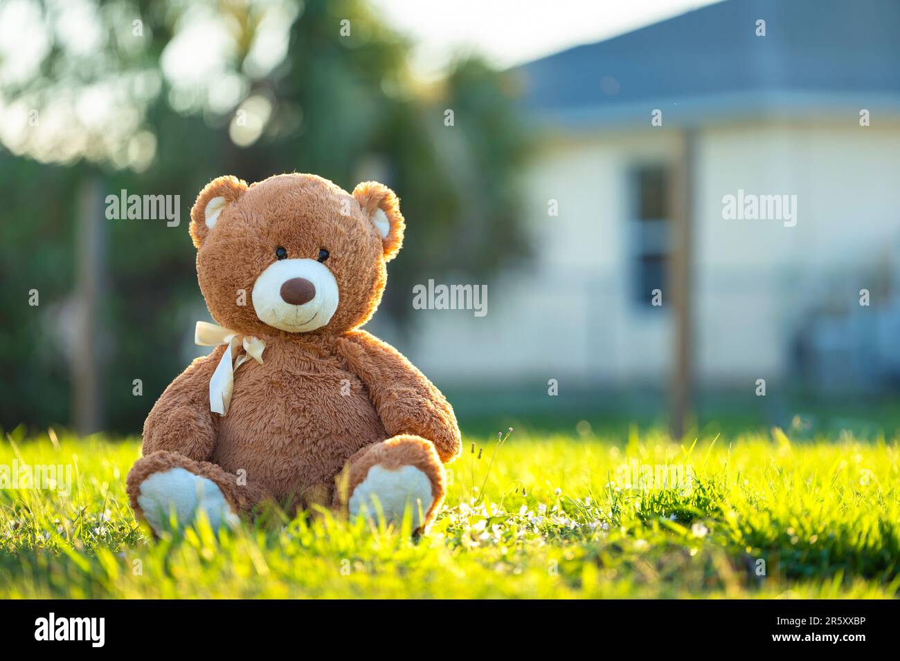 Big plush teddy bear sitting alone on green grass lawn in summer ...