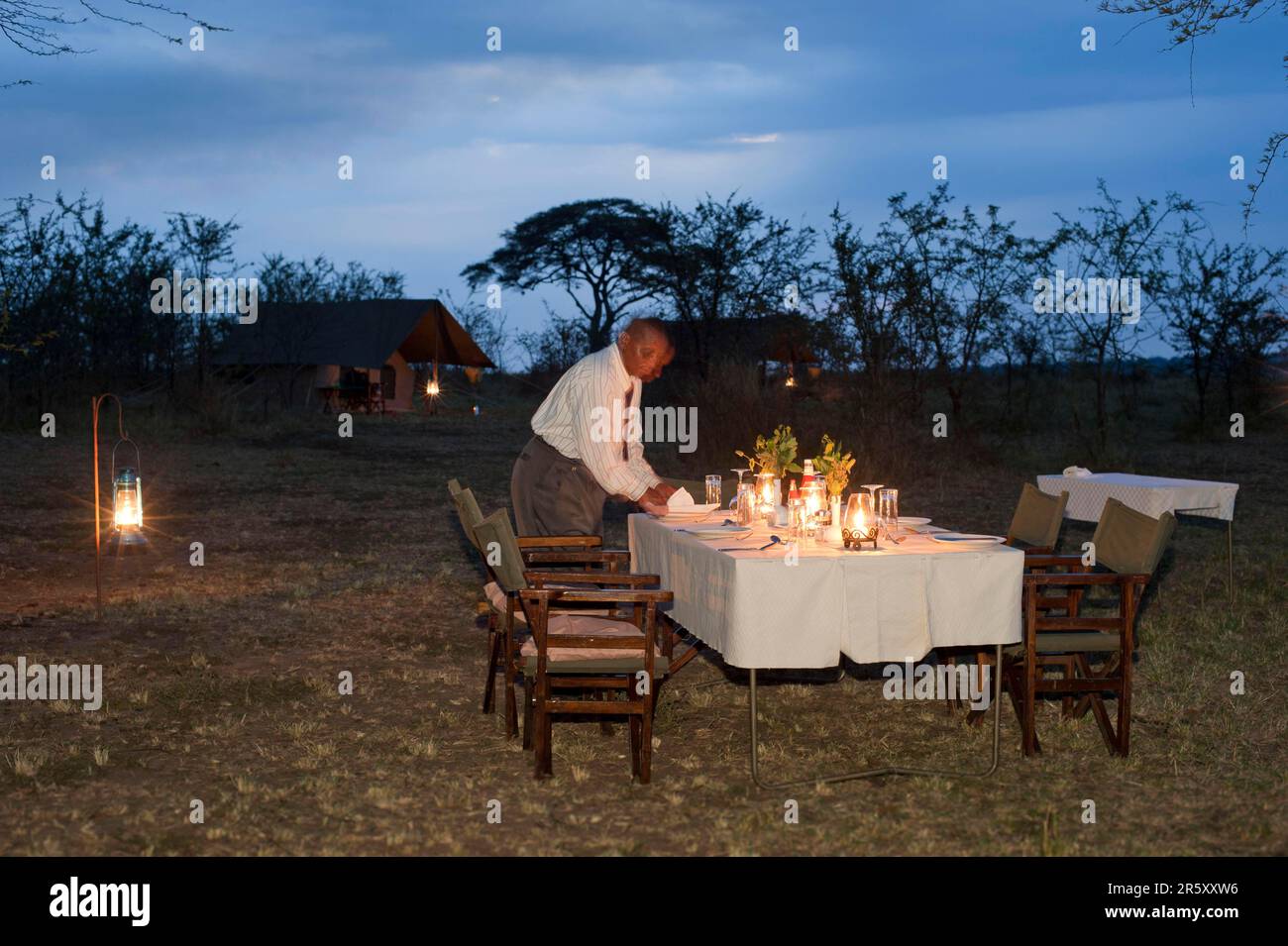 Table setting, Tent camp in the Serengeti, Tanzania, Living under