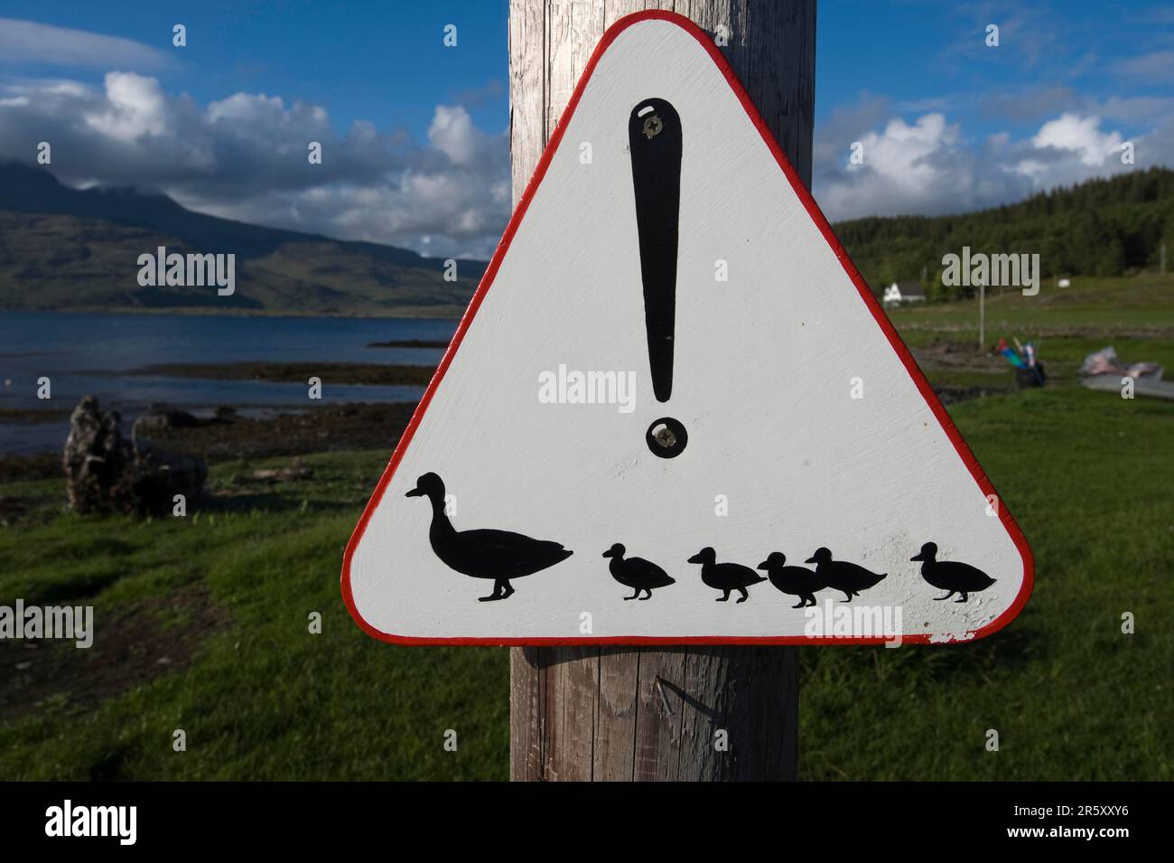 Warning sign 'Duck family crossing the path', Scotland, Great Britain Stock Photo