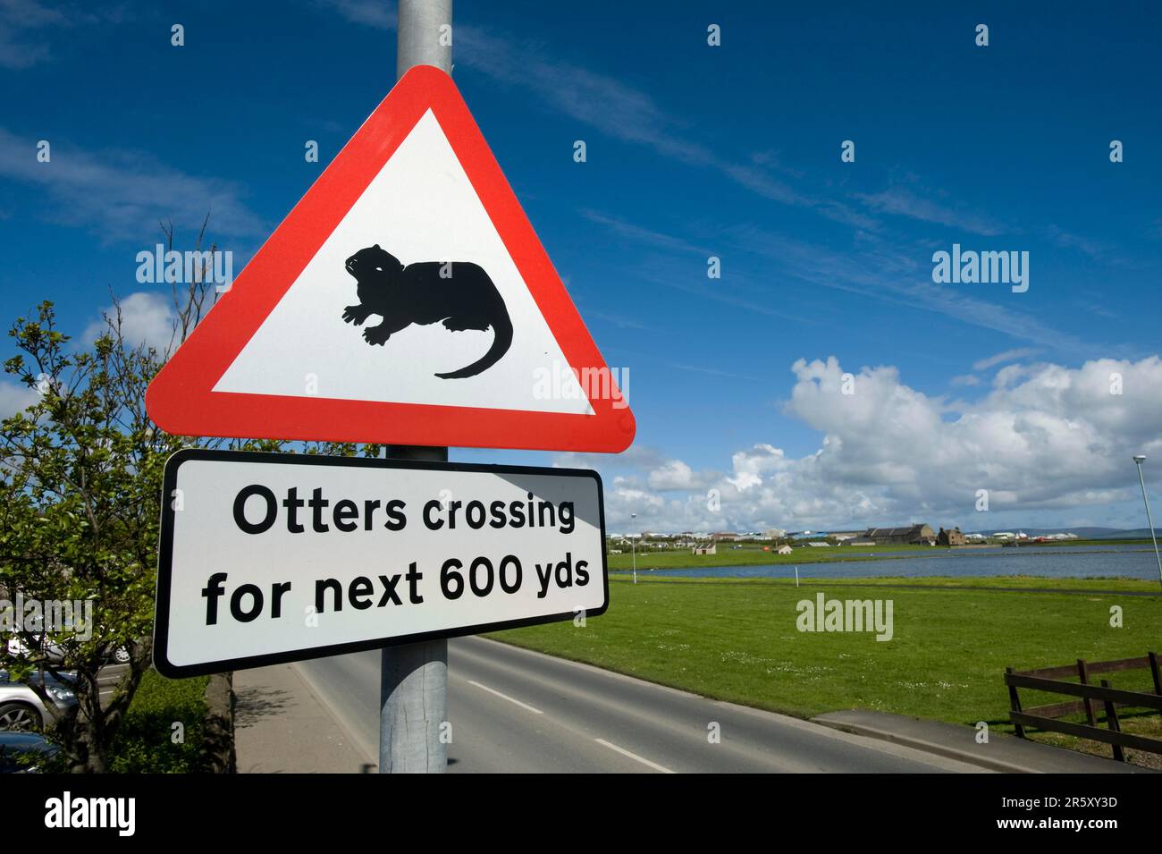 Road warning sign 'Otters crossing the road', Orkney Islands, Scotland, Otters crossing, warning sign, information sign, otter Stock Photo