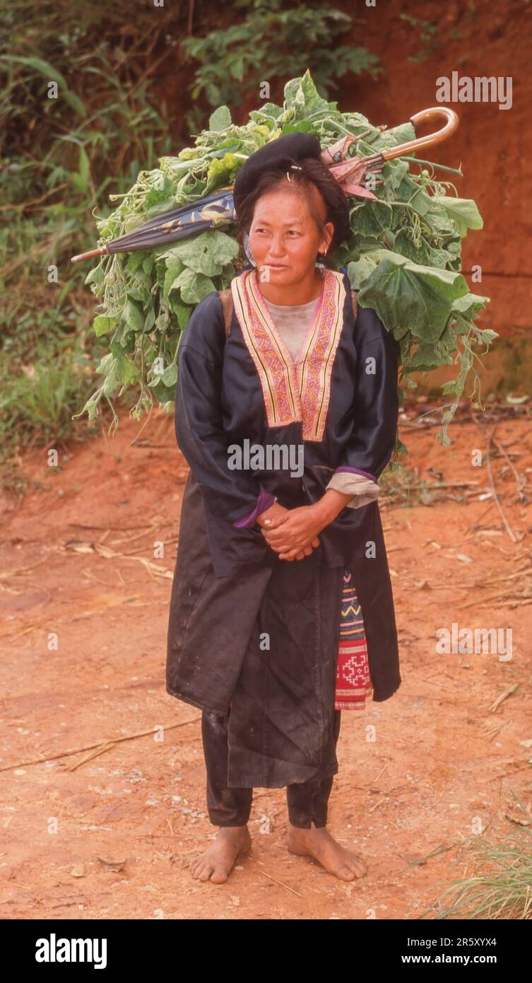 Carrying hilltribe hi-res stock photography and images - Alamy