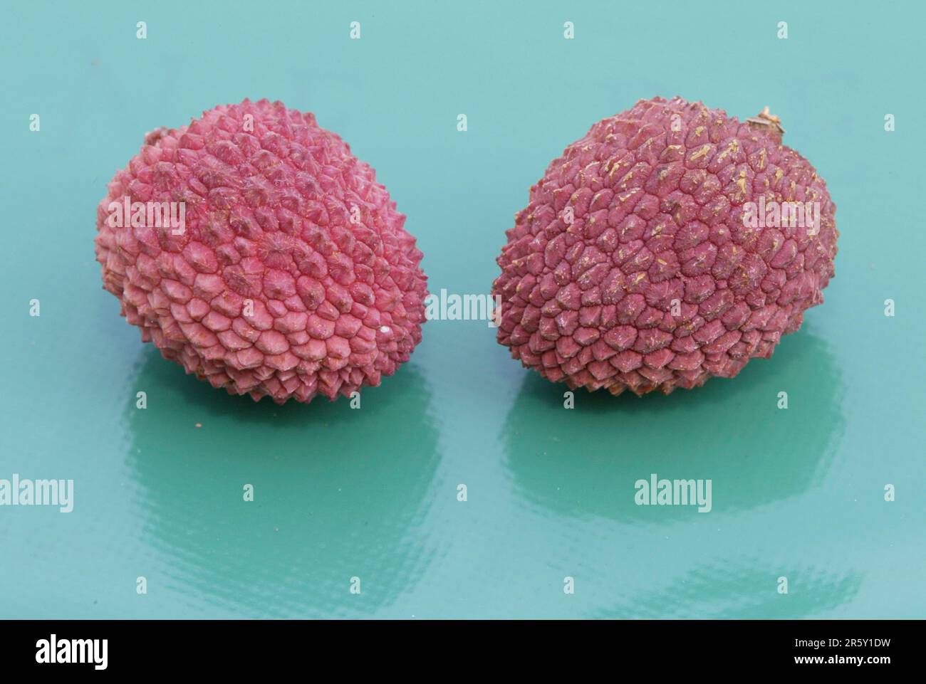 LycheeFruit (Litchi chinensis Stock Photo Alamy