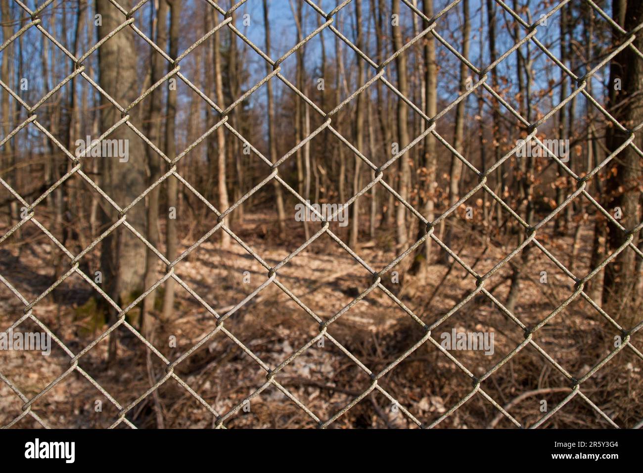 View through the fence Stock Photo Alamy