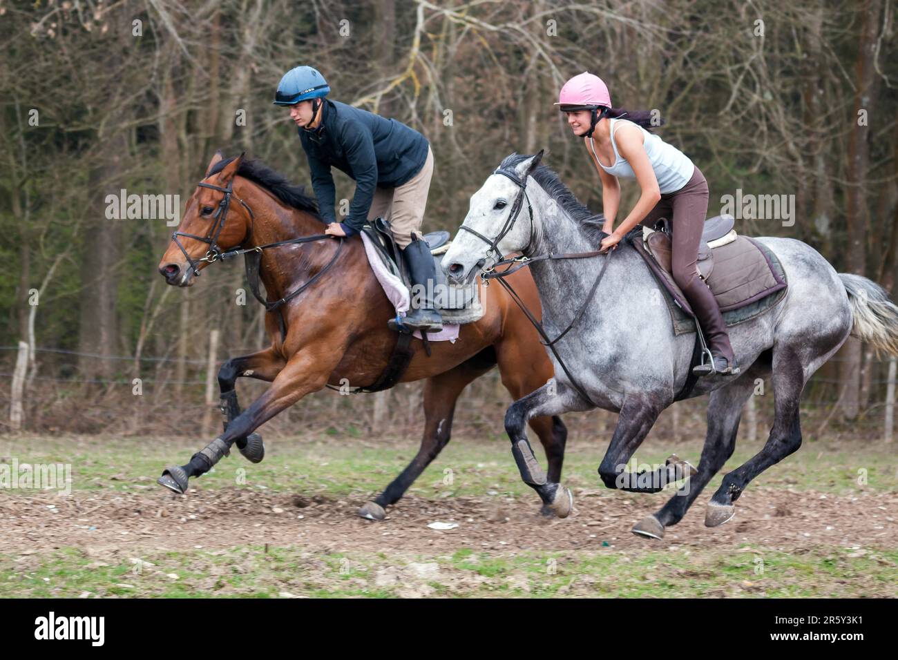 Horse Riding near Ashurst Wood West Sussex Stock Photo Alamy