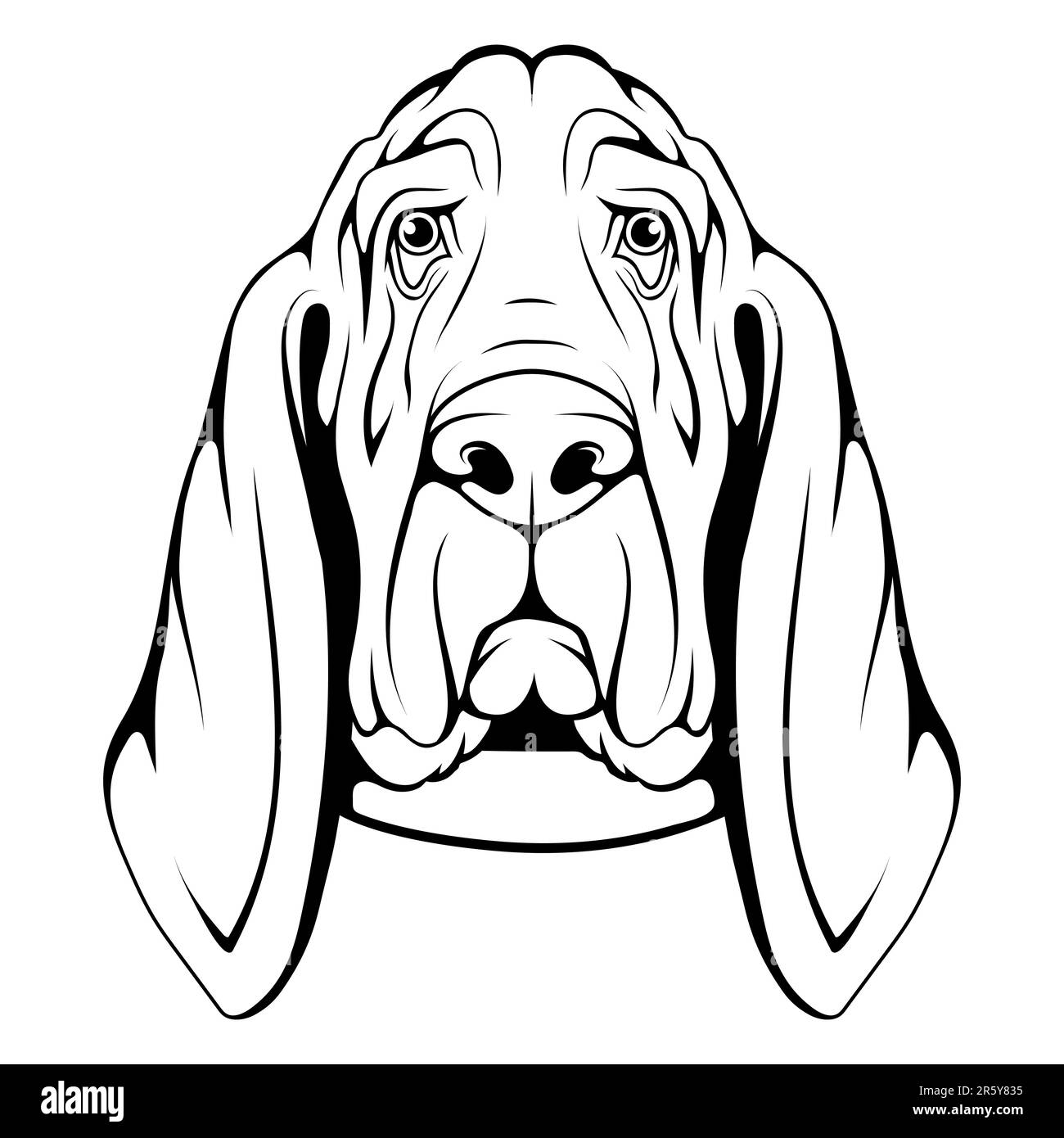 Simple Basset Hound Coloring Page  ColoringAll
