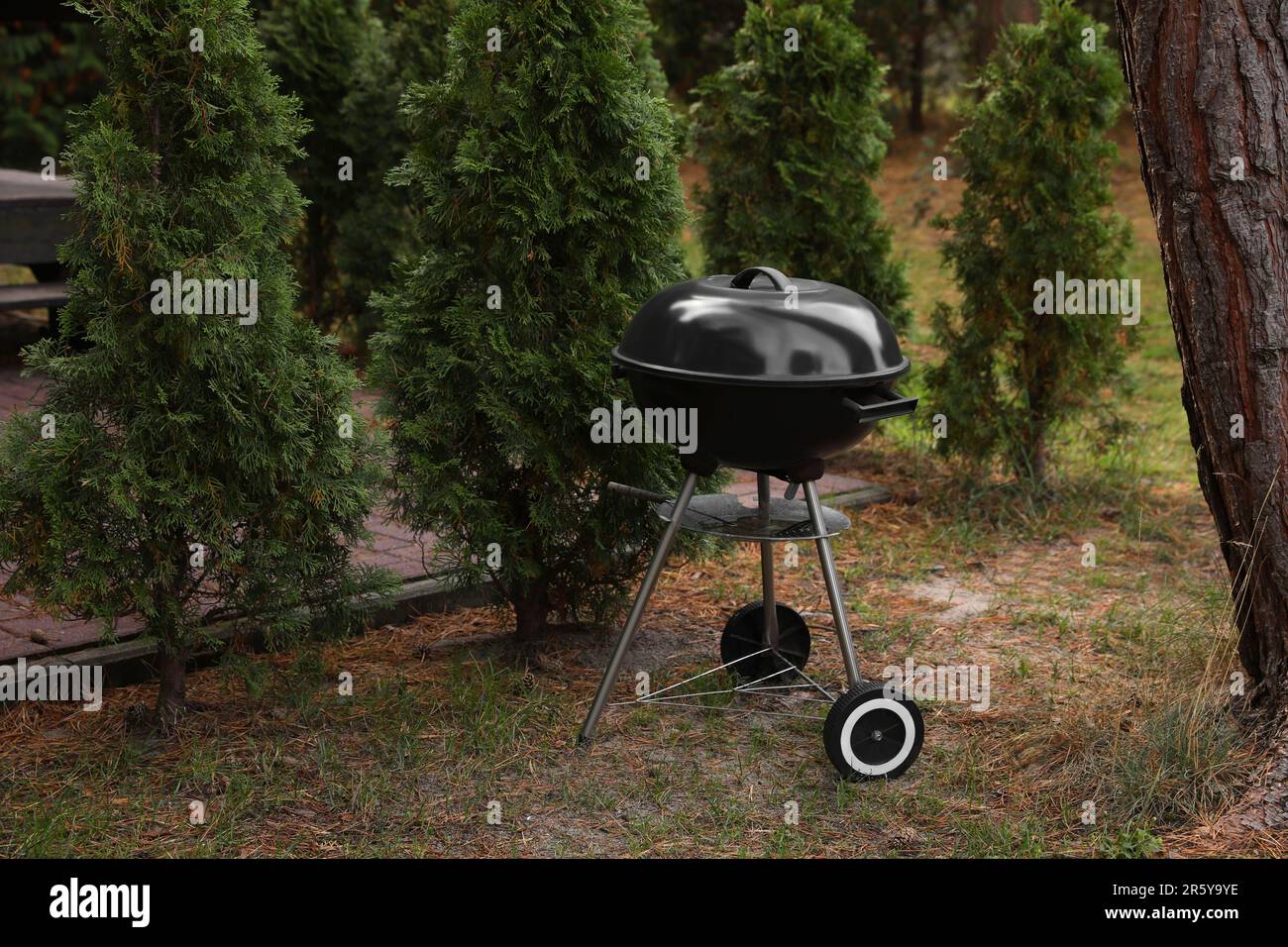 New garden grill hi-res stock photography and images - Alamy