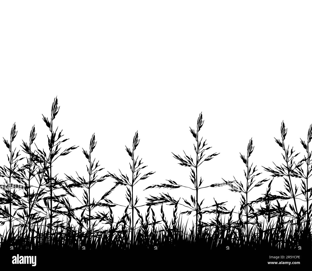Vector illustration wheat background for design use Stock Vector