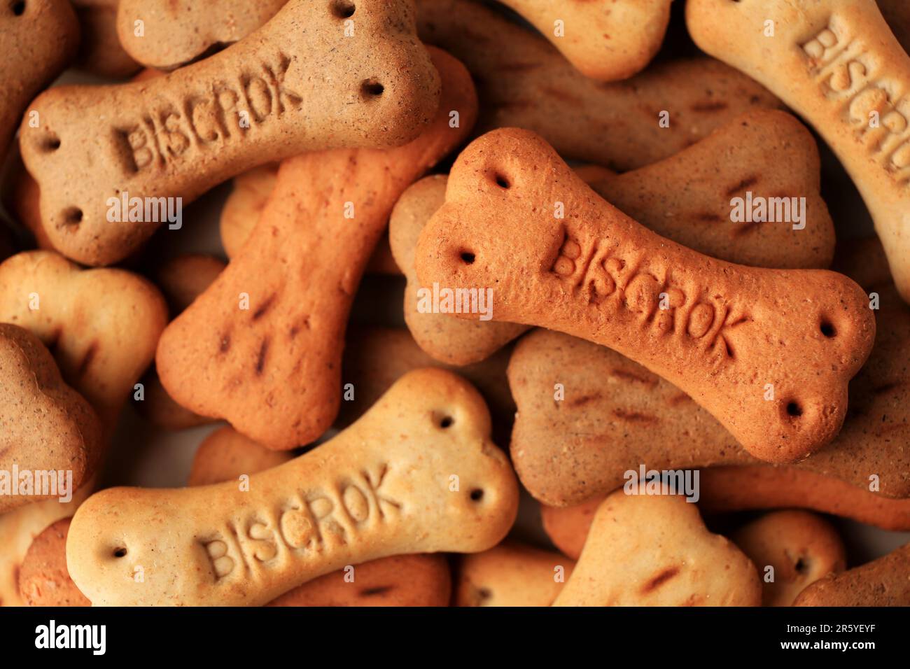 Small bones for dog. Dog snack. Foodie Puppies Flavor Bone Shaped Biscuits  for Dogs. Isolated on white background with shadow reflection. With clippin  Stock Photo - Alamy