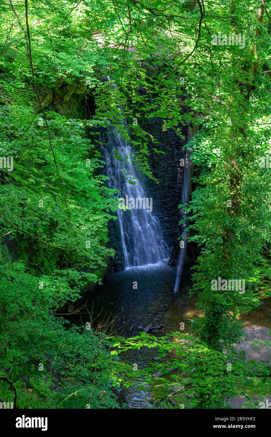 The Falling Foss Waterfall in North Yorkshire near Whitby, UK Stock