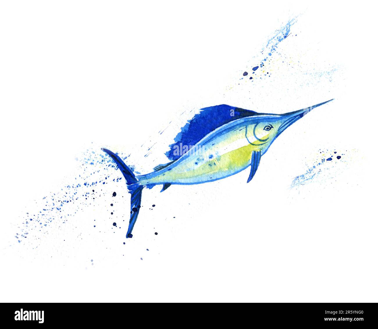 Atlantic blue Marlin fish, Swordfish, fish sword, Makaira nigricans, isolated, ocean, sea fish, close-up, hand drawn watercolor illustration on white Stock Photo