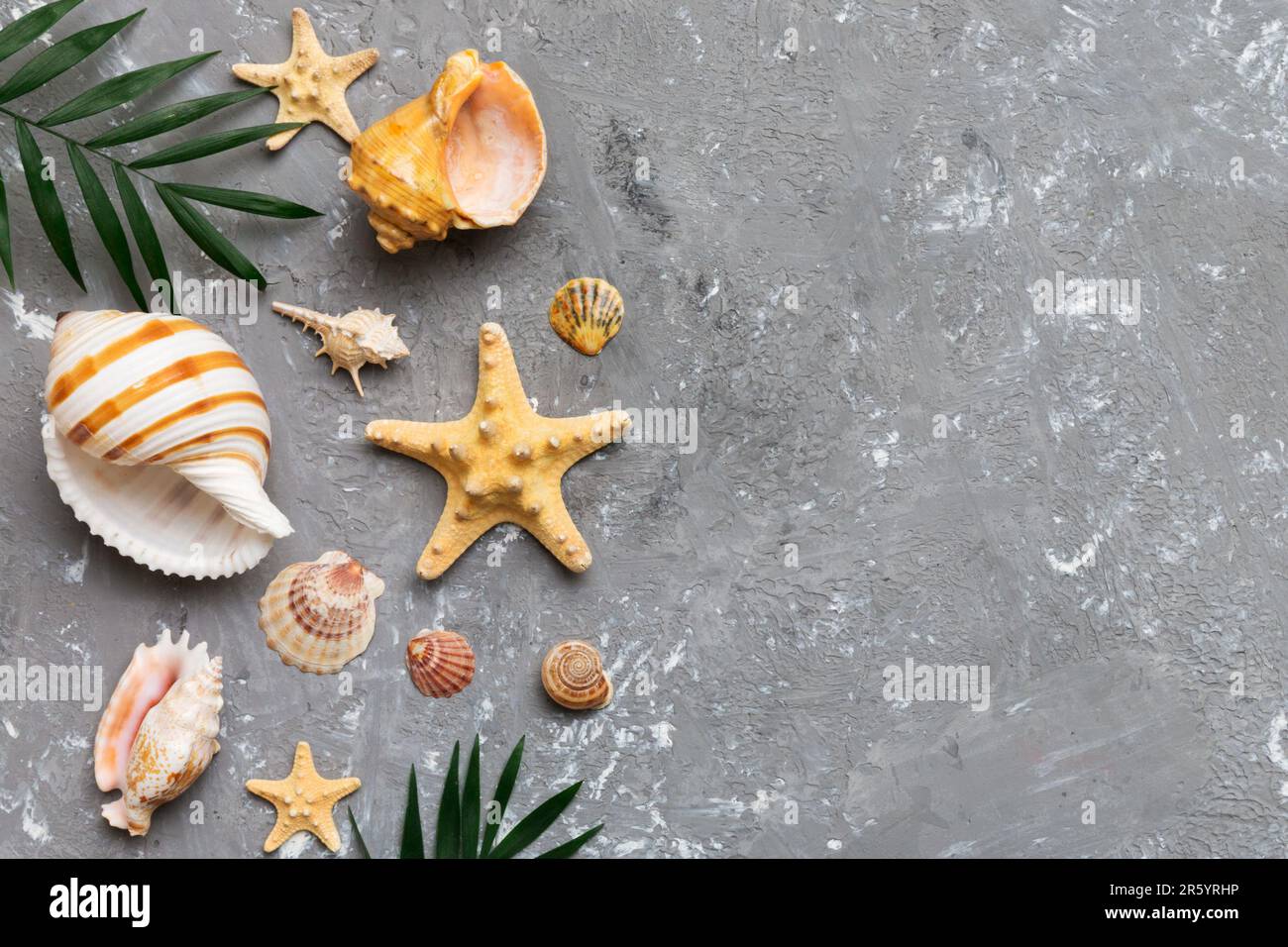Summer time concept Flat lay composition with beautiful starfish and ...
