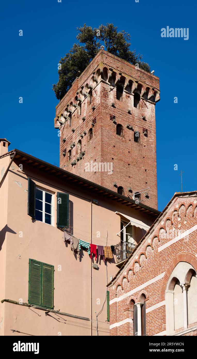 Medieval Torre Guinigi Tower With Trees On Its Top, Lucca, Tuscany ...