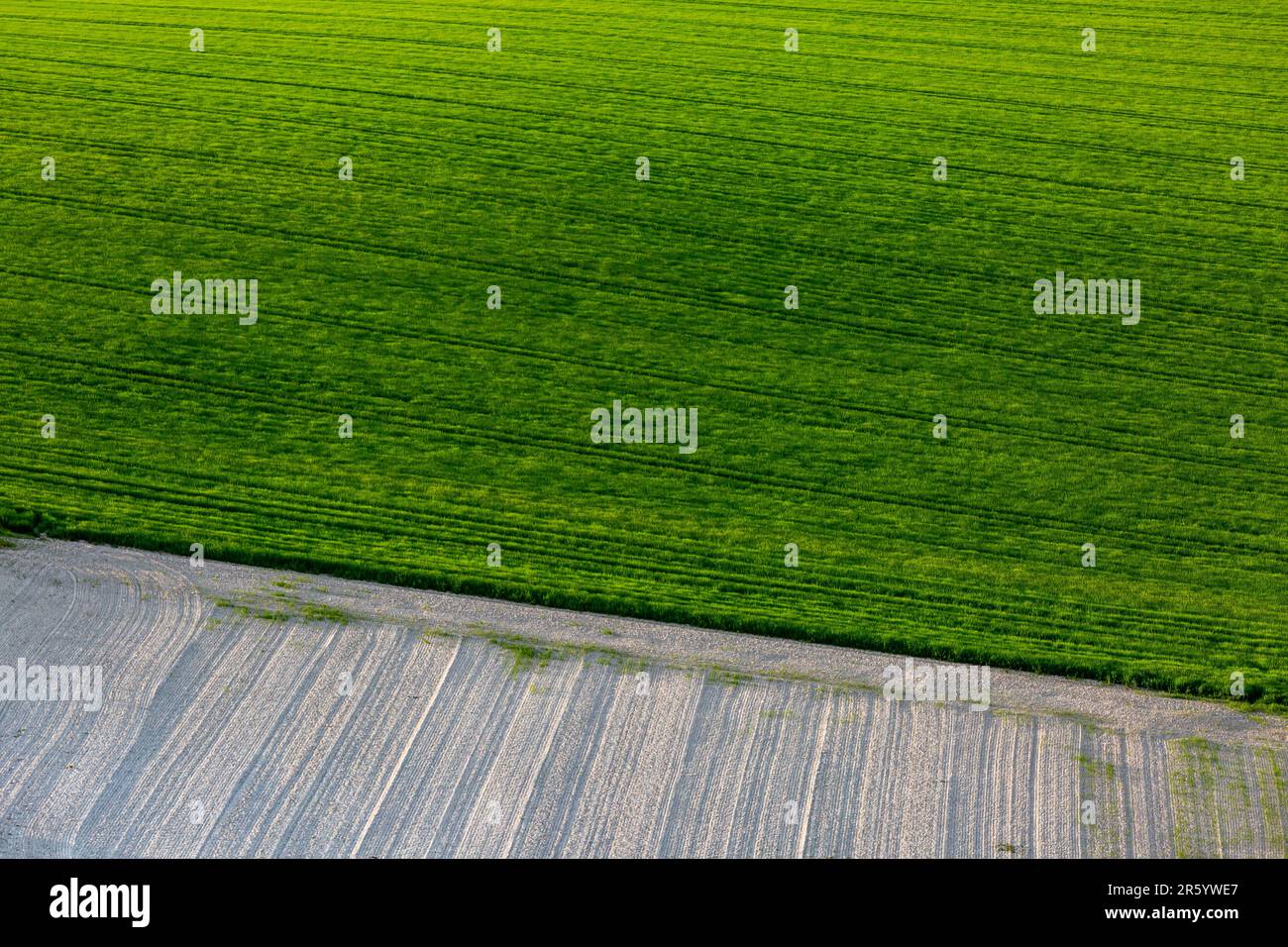 A full frame photograph looking down at farmland in springtime Stock Photo