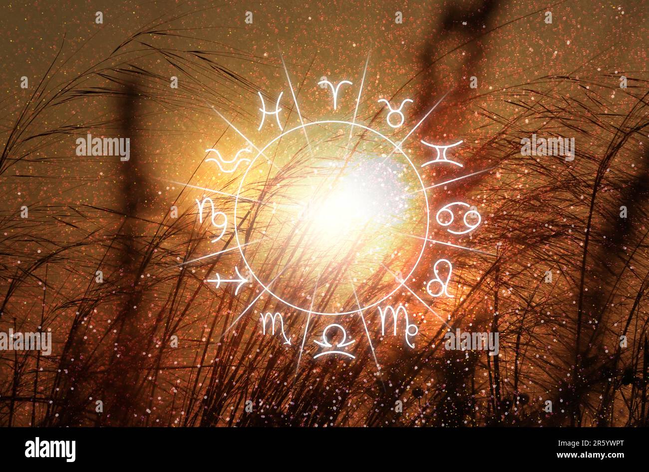 Zodiac wheel with 12 astrological signs and constellations, beautiful