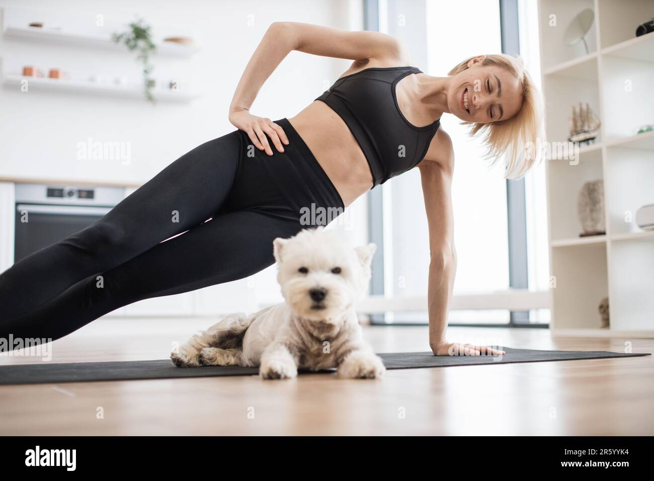 Selective view of attractive slim adult in activewear working out Vasisthasana exercise while small pet relaxing on floor. Good-natured Westie becoming well-suited buddy for yoga workout indoors. Stock Photo