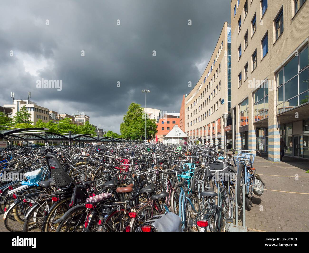 Bicycles parked up under a shelter outside Amersfoort Central railway station, Netherlands, Europe. Stock Photo