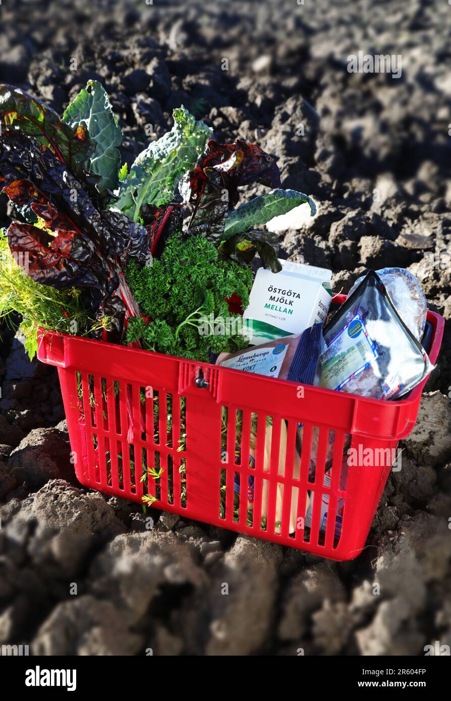 A food basket with locally produced food Stock Photo Alamy